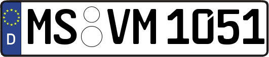 MS-VM1051