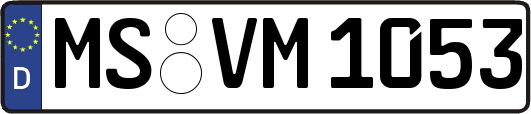 MS-VM1053