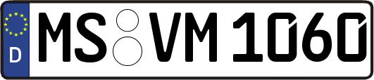 MS-VM1060