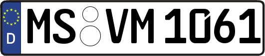 MS-VM1061