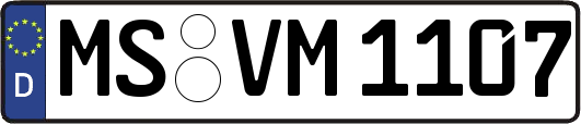 MS-VM1107