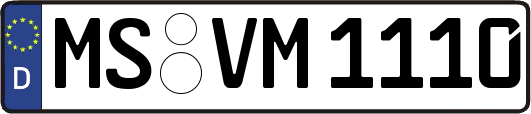 MS-VM1110