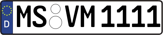MS-VM1111
