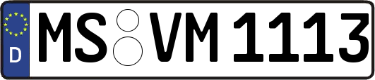 MS-VM1113