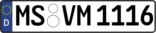 MS-VM1116