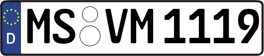 MS-VM1119