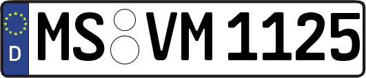 MS-VM1125