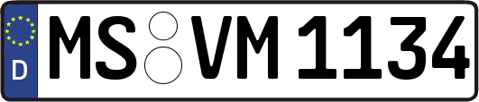 MS-VM1134