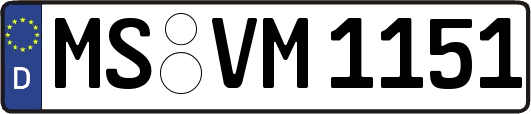 MS-VM1151