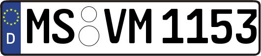 MS-VM1153