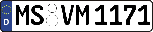 MS-VM1171