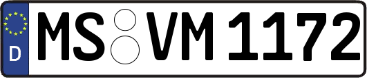 MS-VM1172
