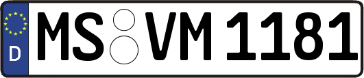 MS-VM1181