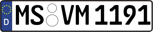 MS-VM1191