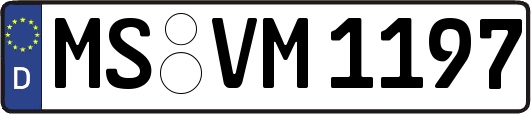 MS-VM1197