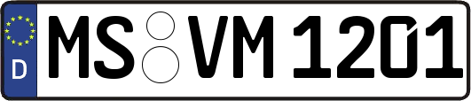 MS-VM1201