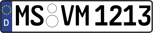 MS-VM1213