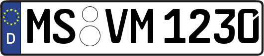 MS-VM1230