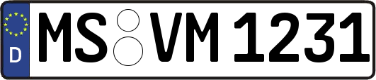 MS-VM1231