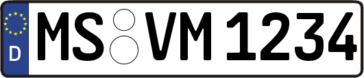 MS-VM1234