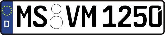 MS-VM1250