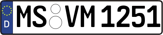 MS-VM1251