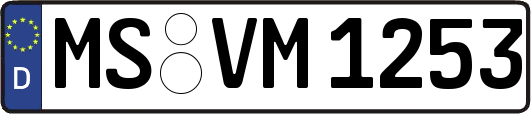 MS-VM1253