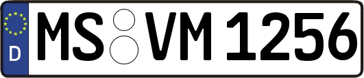 MS-VM1256