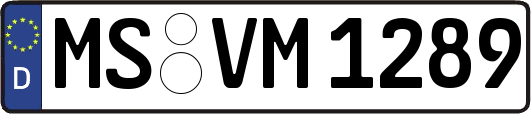 MS-VM1289
