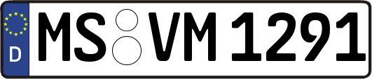 MS-VM1291