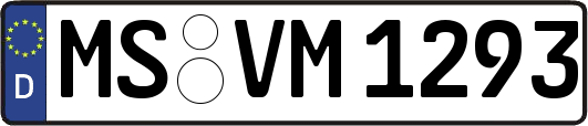 MS-VM1293