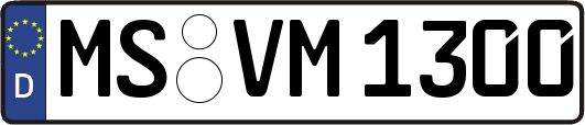 MS-VM1300