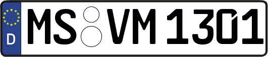 MS-VM1301