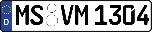 MS-VM1304