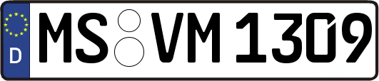 MS-VM1309
