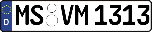 MS-VM1313
