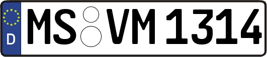 MS-VM1314