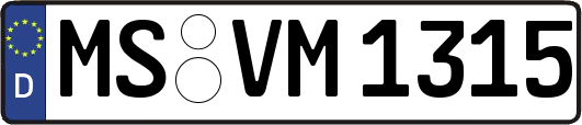MS-VM1315