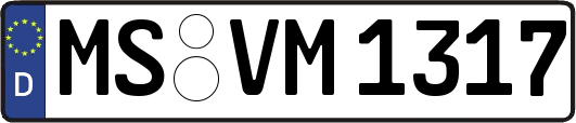 MS-VM1317