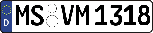 MS-VM1318