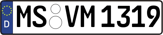 MS-VM1319