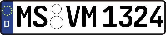 MS-VM1324