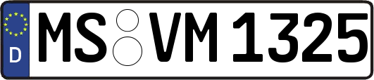 MS-VM1325