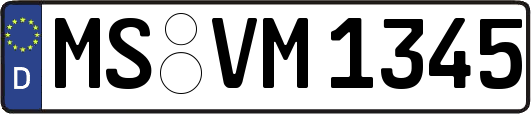 MS-VM1345