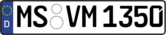 MS-VM1350