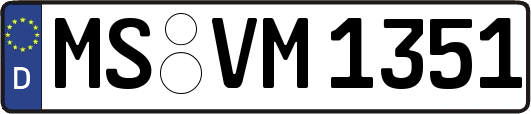 MS-VM1351