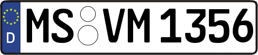 MS-VM1356