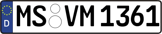 MS-VM1361