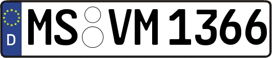 MS-VM1366