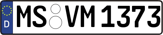 MS-VM1373